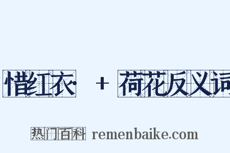 惜红衣·+荷花反义词是什么意思的图片